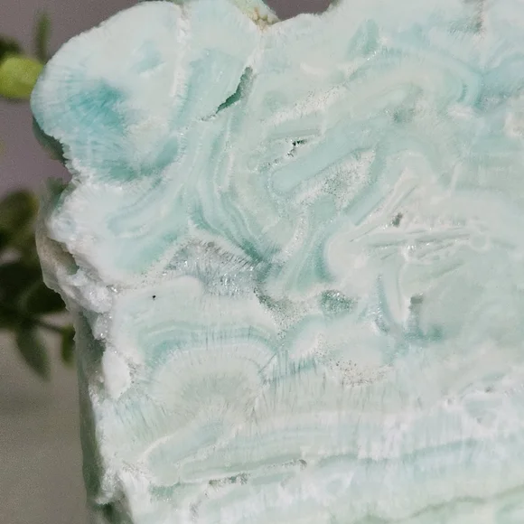 Caribbean calcite slab - Picture 12 of 13